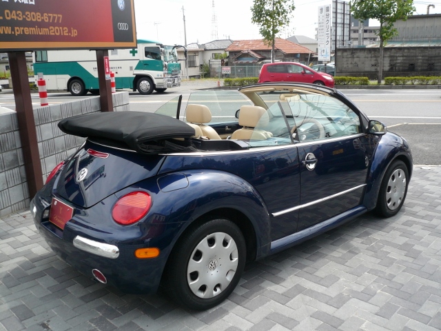 beetle-10