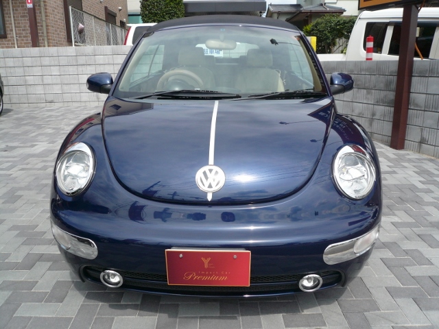 beetle-2