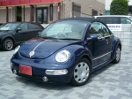 beetle-1