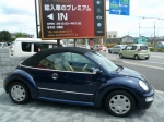 beetle-3