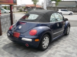 beetle-4