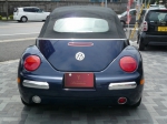 beetle-5