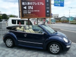 beetle-9